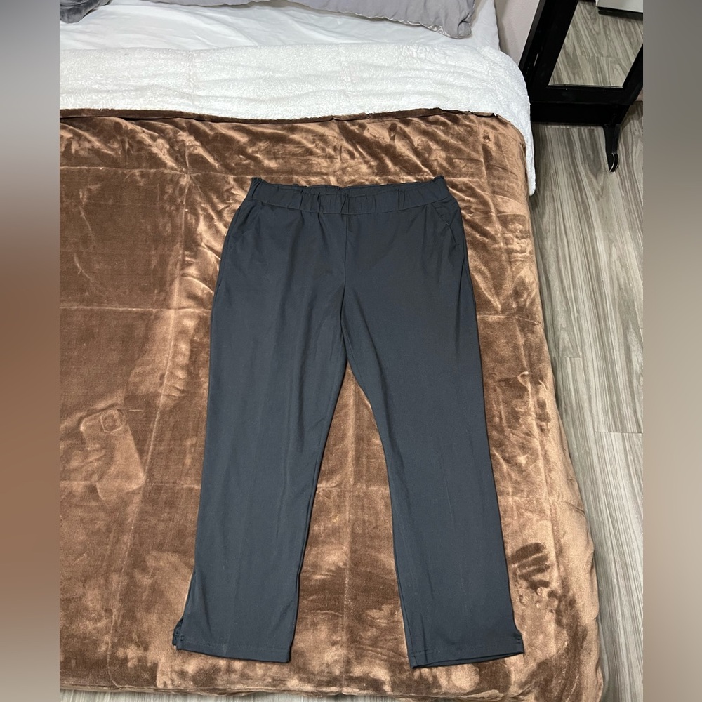 Woman’s size xl Joie cropped pants